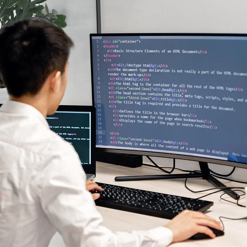 Python Development Services
